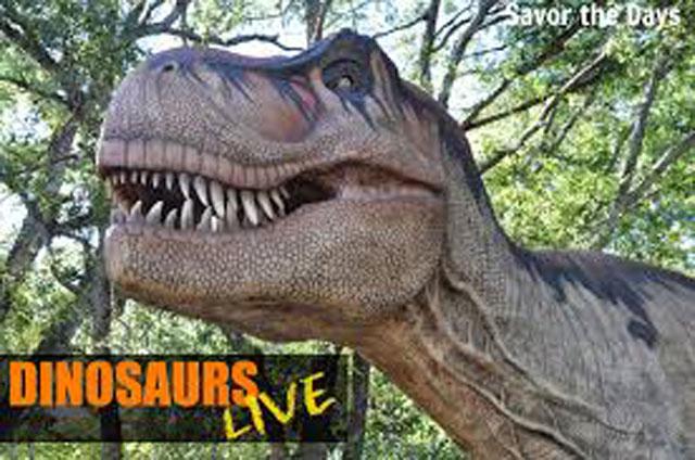 One of the featured dinosaurs at Dinosaurs Live