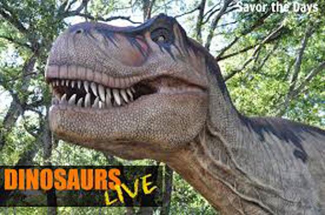 live dinosaurs