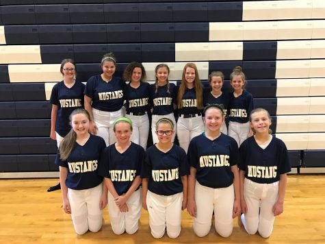 MS softball