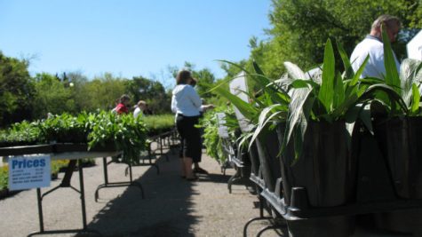 Spring Plant Sale