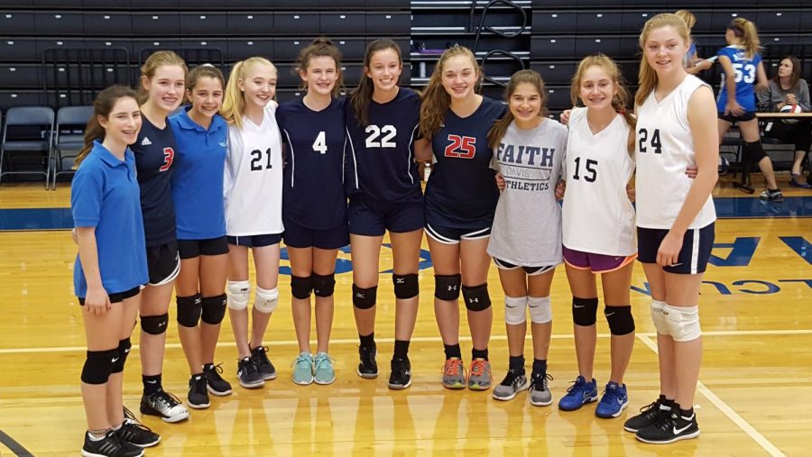 Middle School Volleyball All Star Teams – The Mane Edition