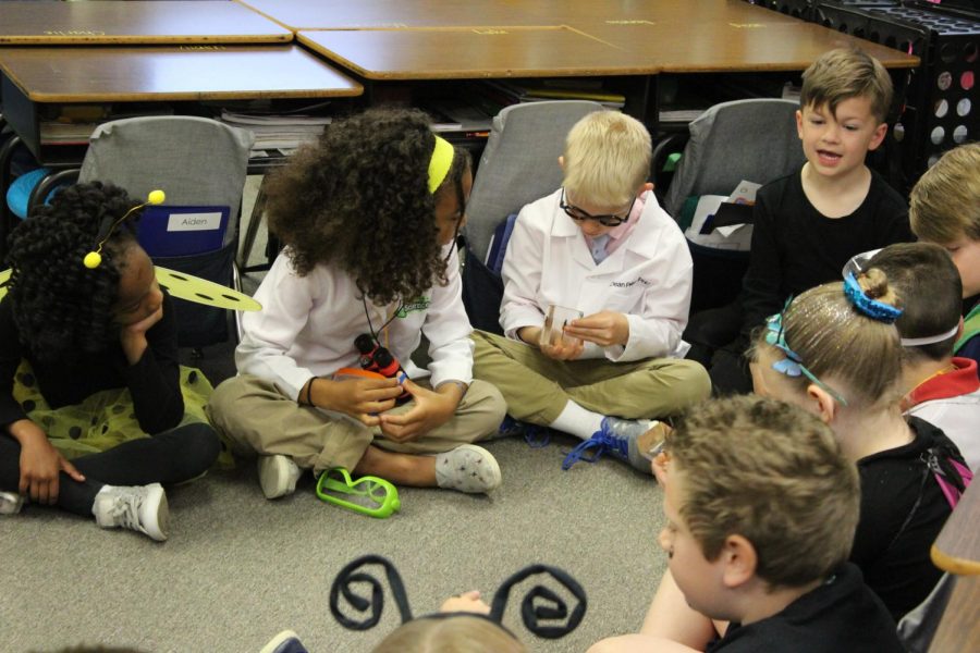 First graders Neah Pierce, Giada Adeogun, Dean Petska and Thomas Goodwin look closely at a dragonfly.