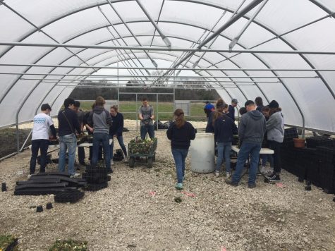 Working hard, the freshman who stayed local spent a day working on freshman Karlene Shelton's property.