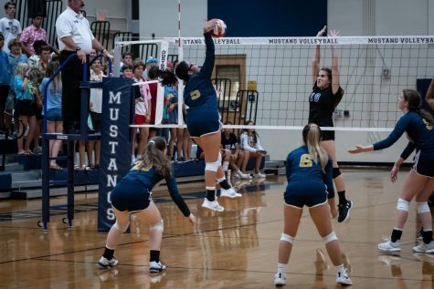 Volleyballs First District Game