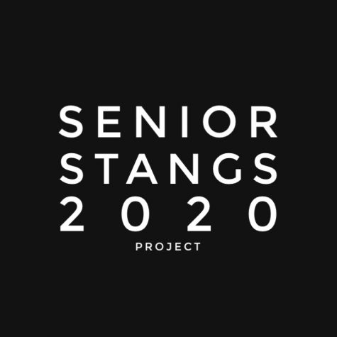 The Senior Stangs Instagram page was founded to create a unique way to recognize students in the class of 2020.