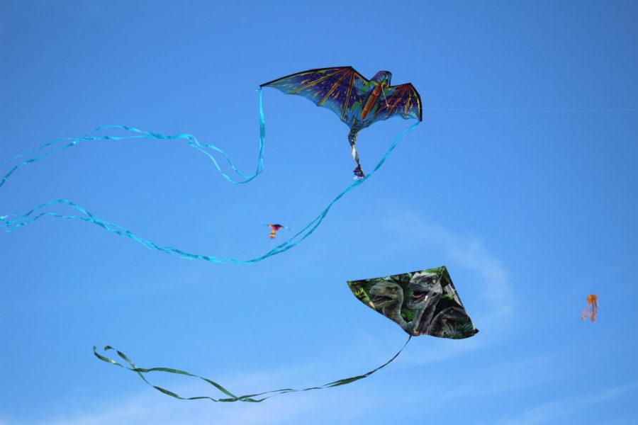 The students got their kites high up in the air.