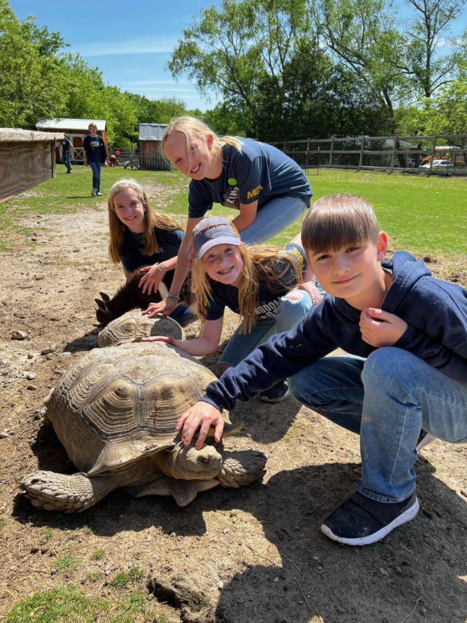 The students got to pet a tortoise