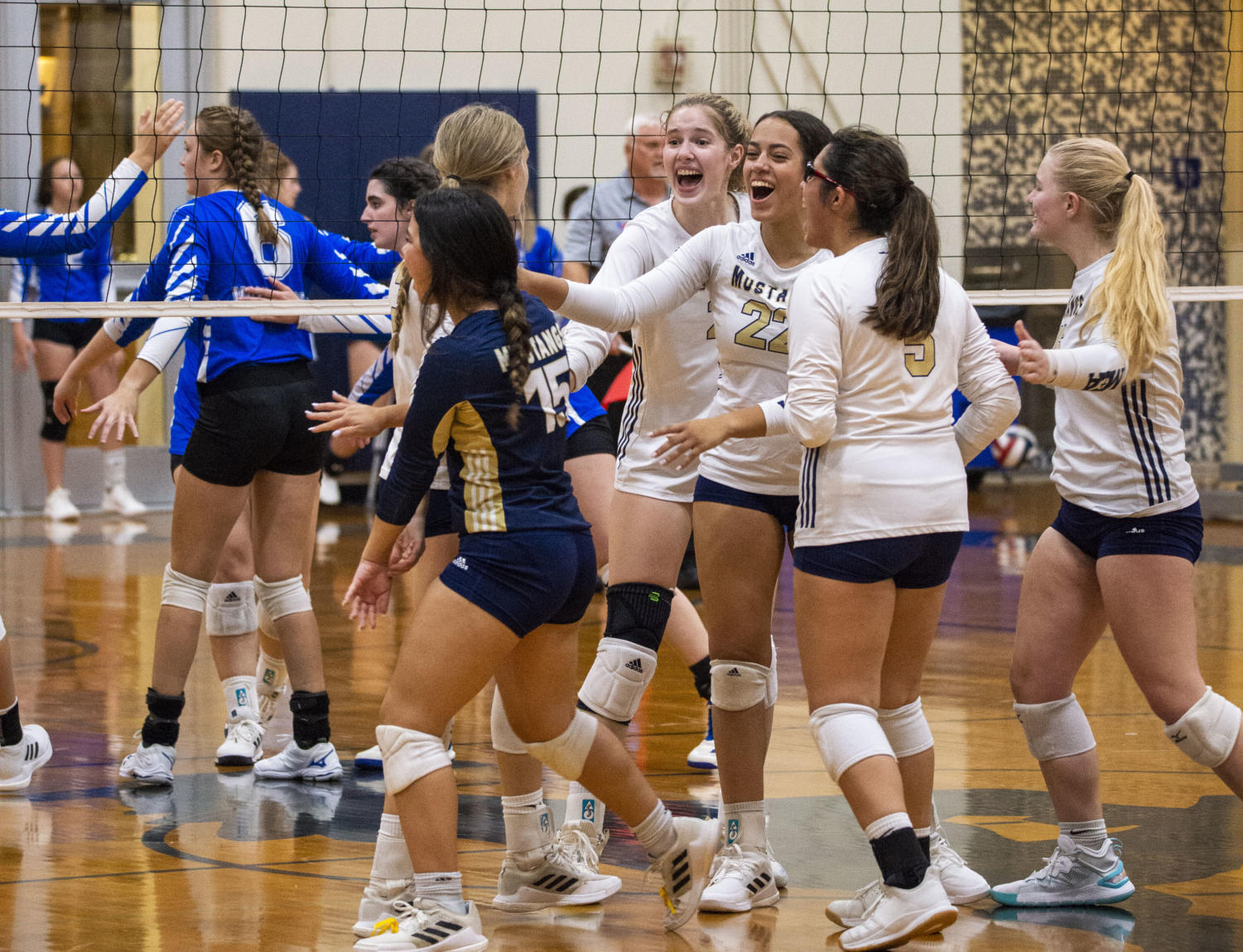 Lady Mustangs Volleyball Take Down the Vikings In 5 Sets – The Mane Edition