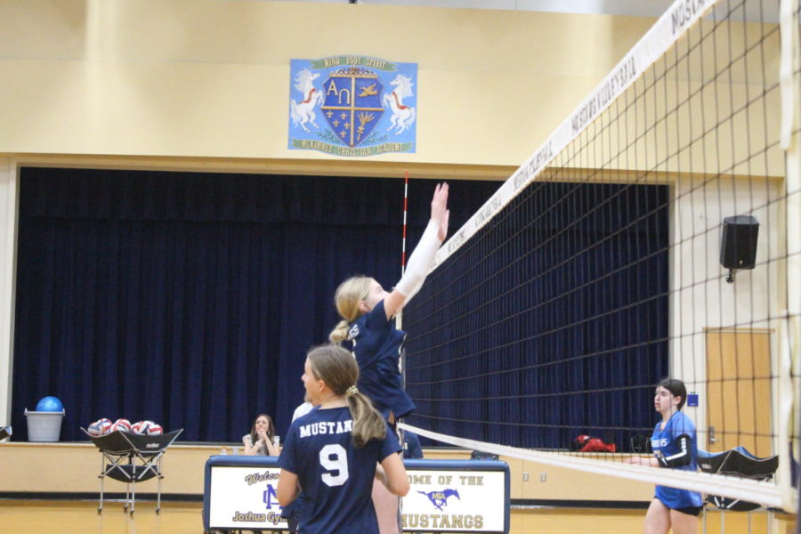 Eighth grader Camryn Stackhouse jumps for a block.