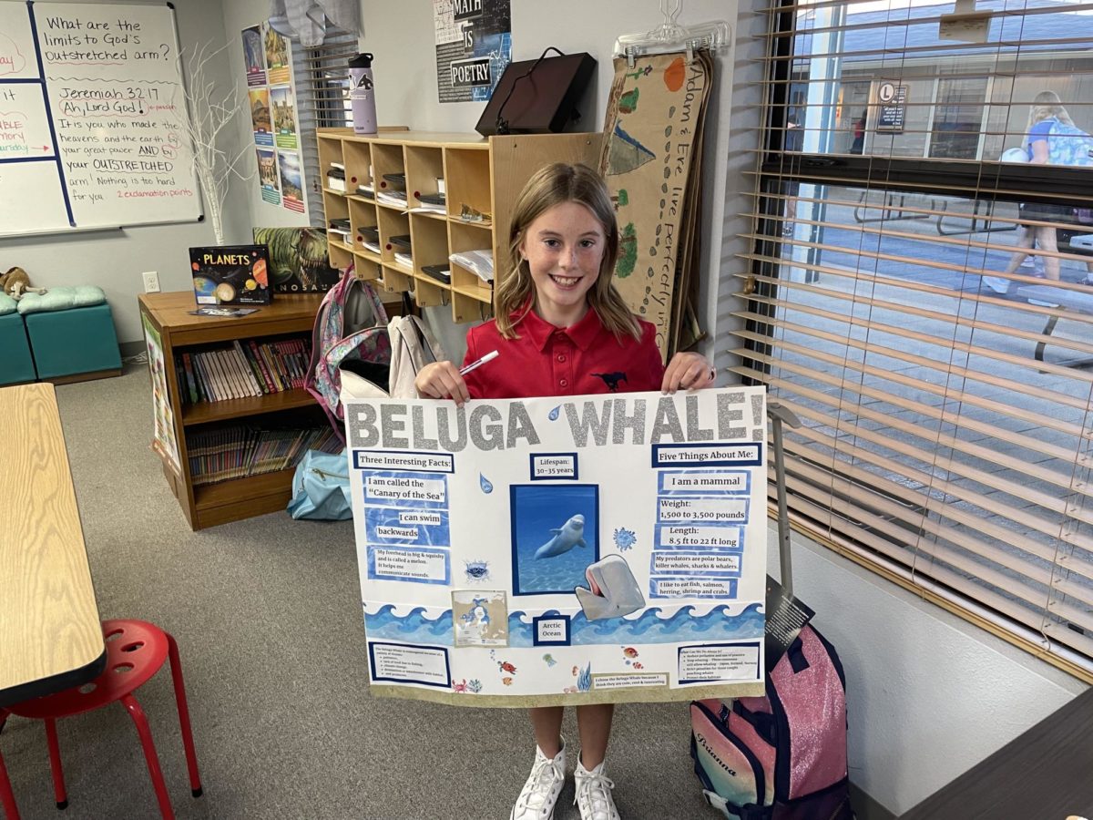 Fourth grader Claire Schmitz holds up her poster about the Beluga Whale.