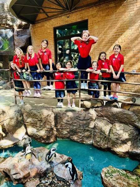 The Third Grade Class gathers together for a picture in front of the penguin exhibit. 