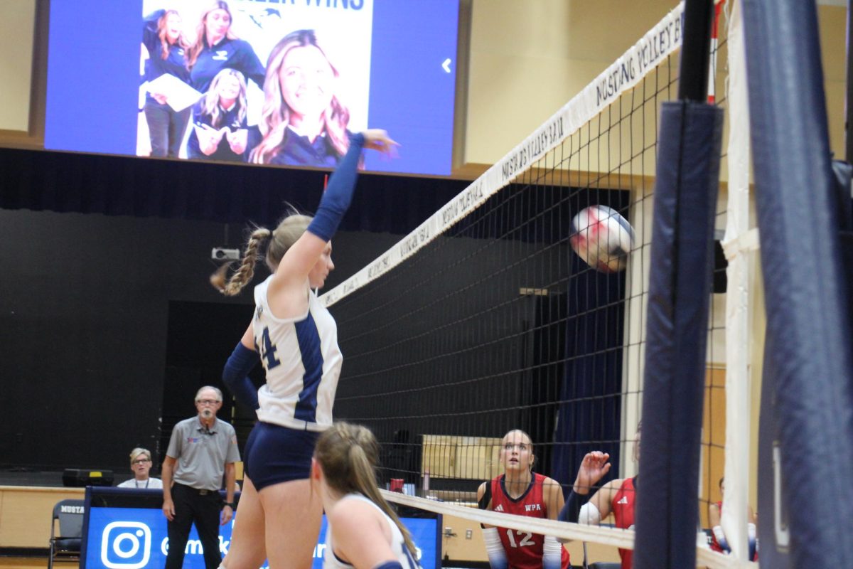 Junior Sadie Blake goes up and gets a kill on an overpass. 