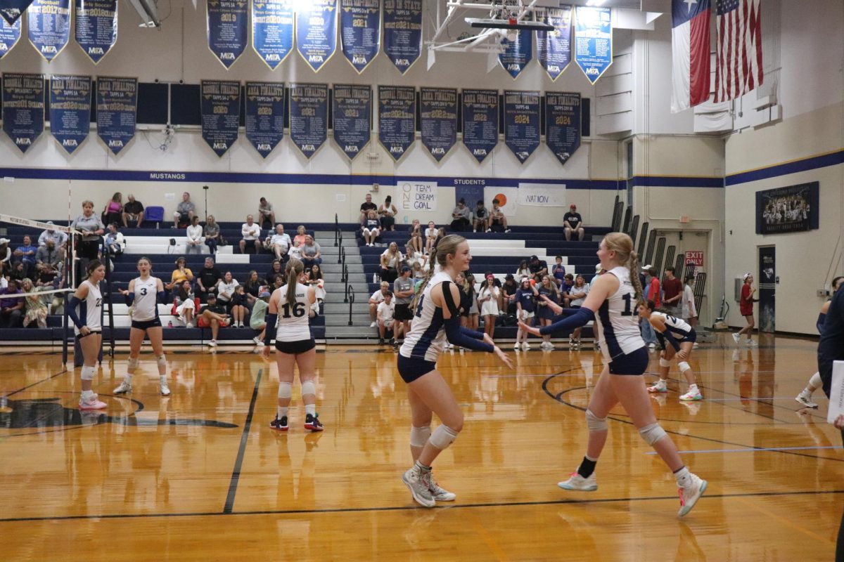 MCA Volleyball Blows Out Paris Volleyball