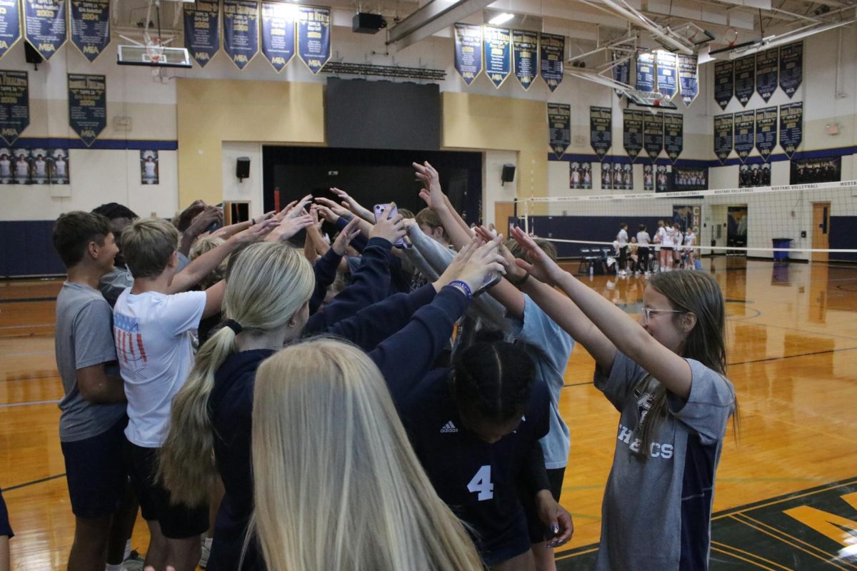 The players all cheer and get ready to play.