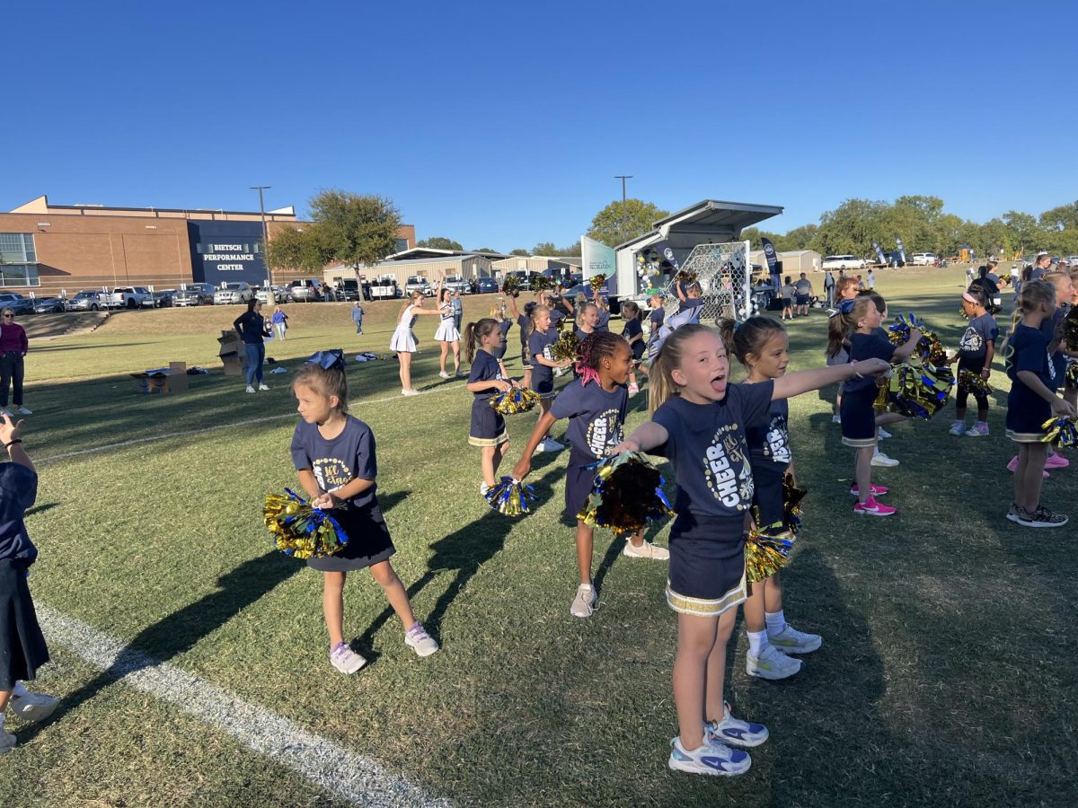 The Lil Stangs cheer perform.