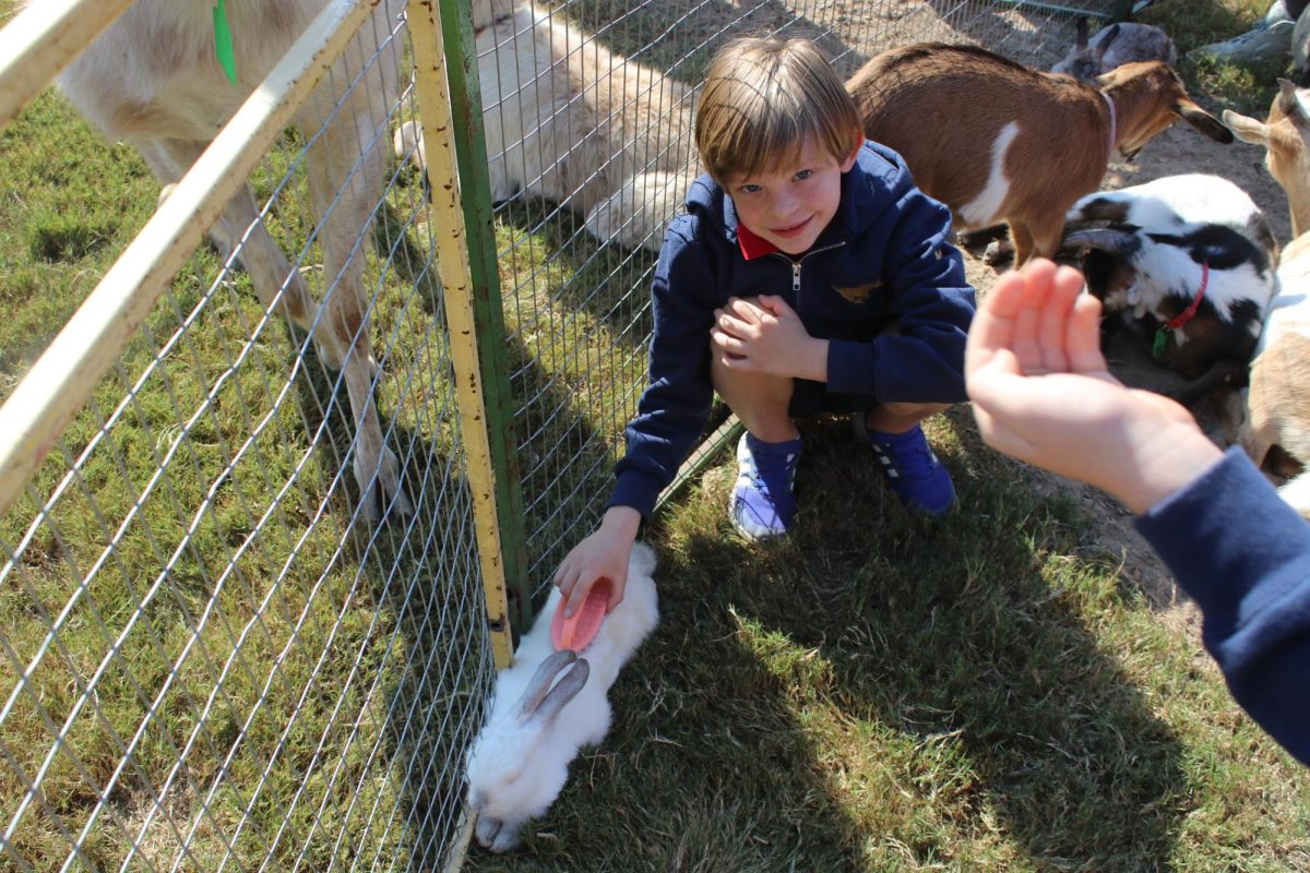 Second grader Hudson Davis grooms a bunny.