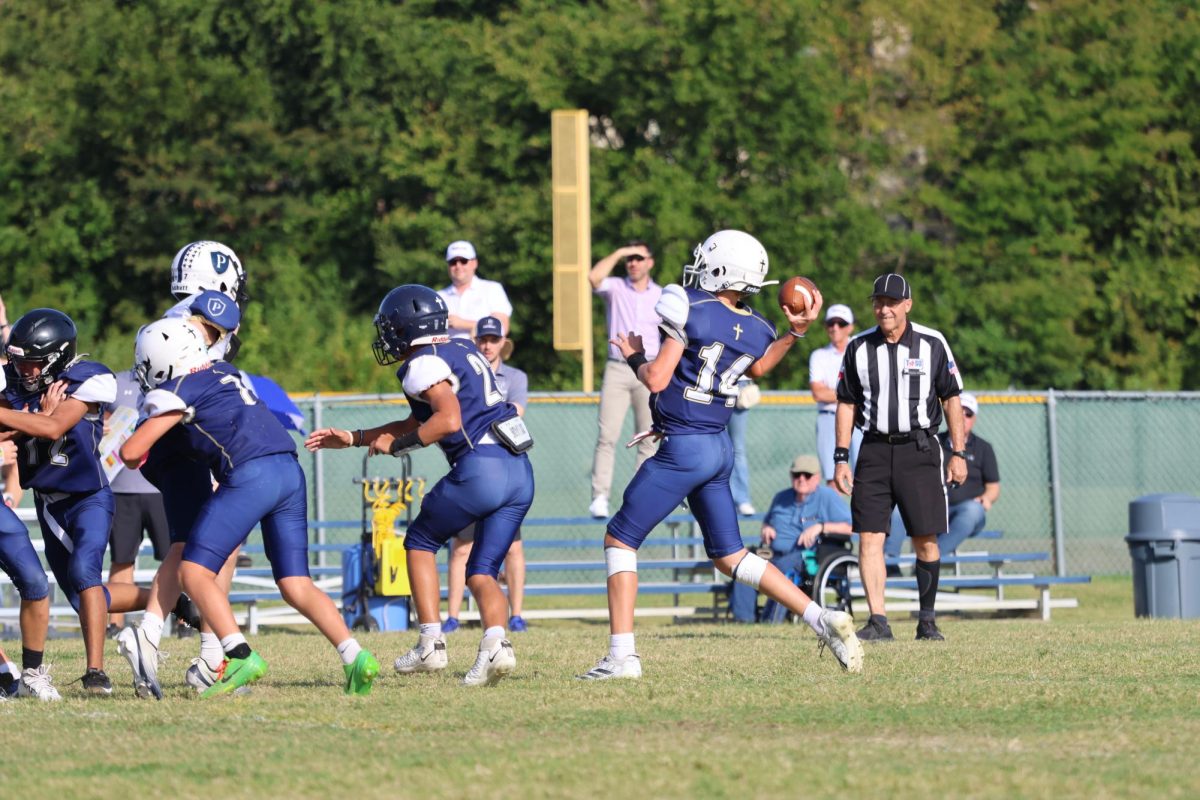 The quarterback throws the ball to the receiver