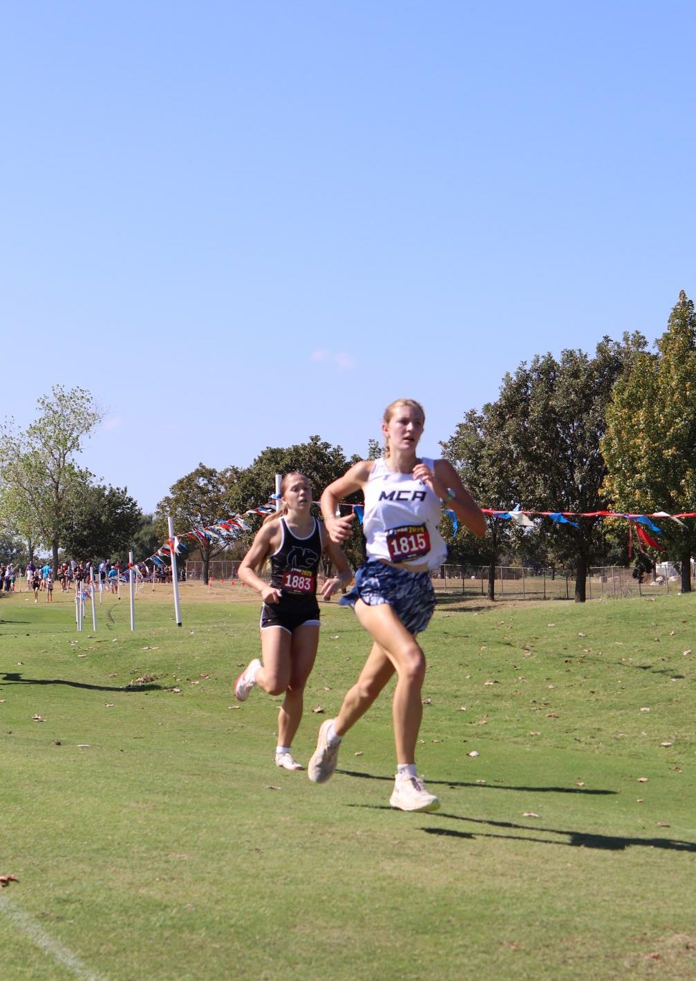 Upper School Cross Country Runs at State