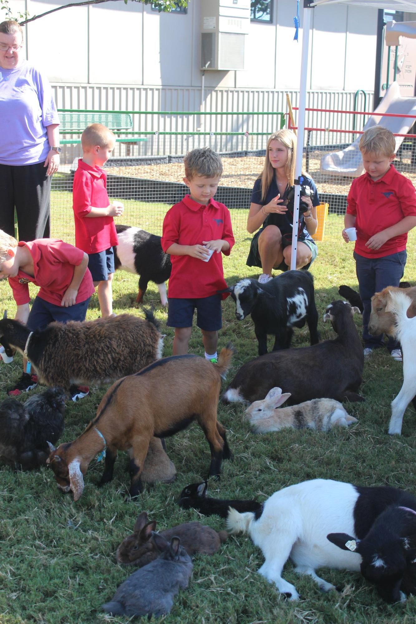 Cathy Critters Comes Makes a Visit to Lower School
