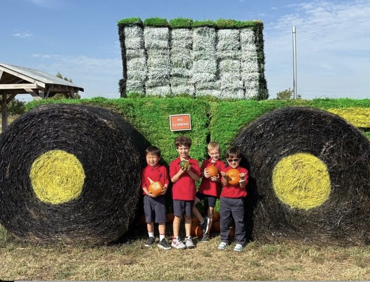 Small group of kindergarten boys pose for a picture with their pumpkin souvenirs. 